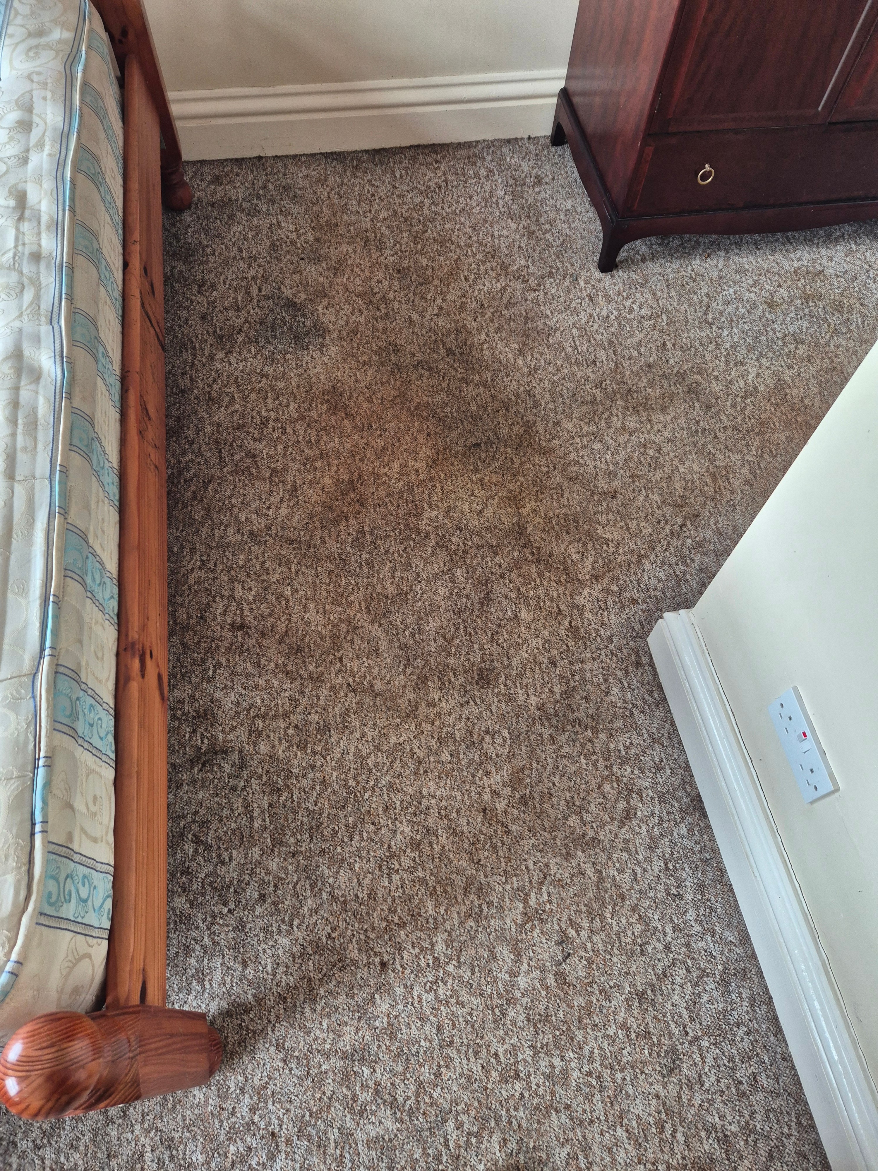 After: biohazard cleanup job 2, North East